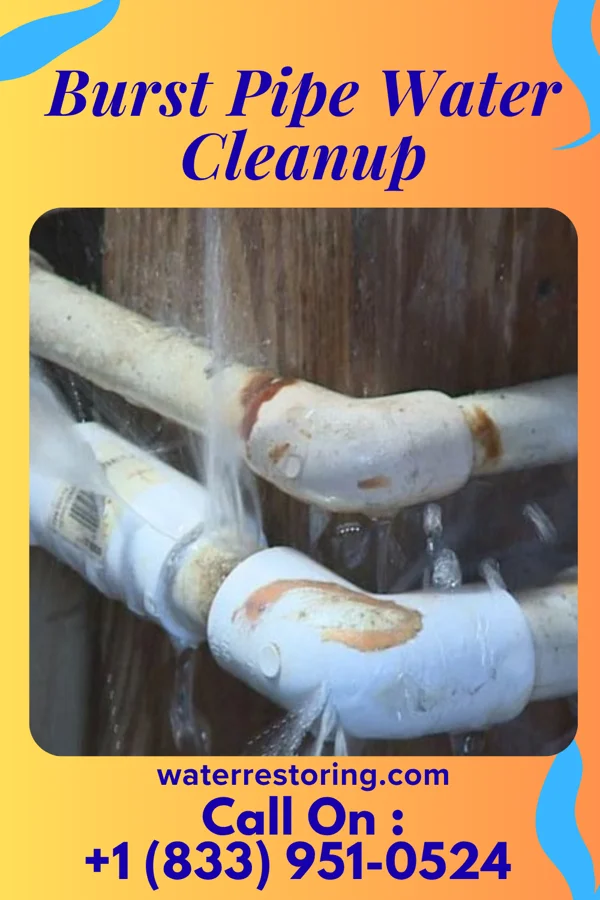 Burst Pipe Water Cleanup in National Harbor, MD