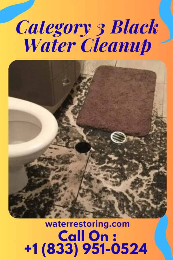 Category 3 Black Water Cleanup in National Harbor, MD