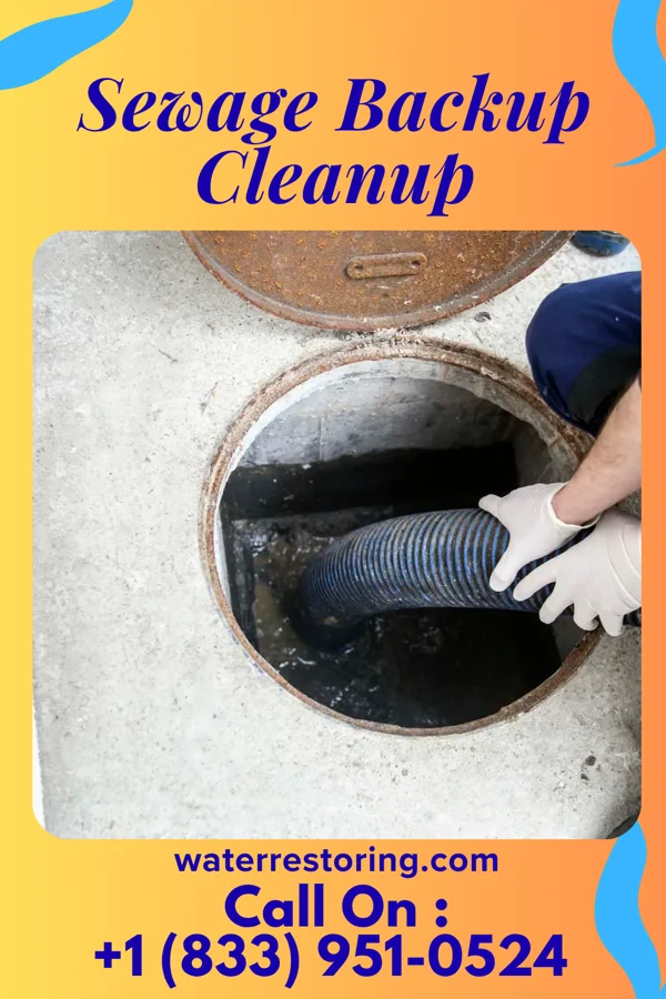 Sewage Backup Cleanup in National Harbor, MD