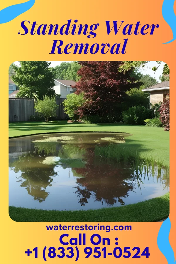 Standing Water Removal in National Harbor, MD